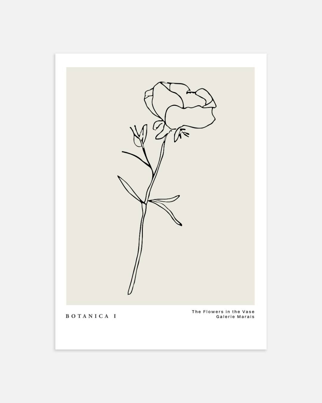 Minimalistische roos Poster