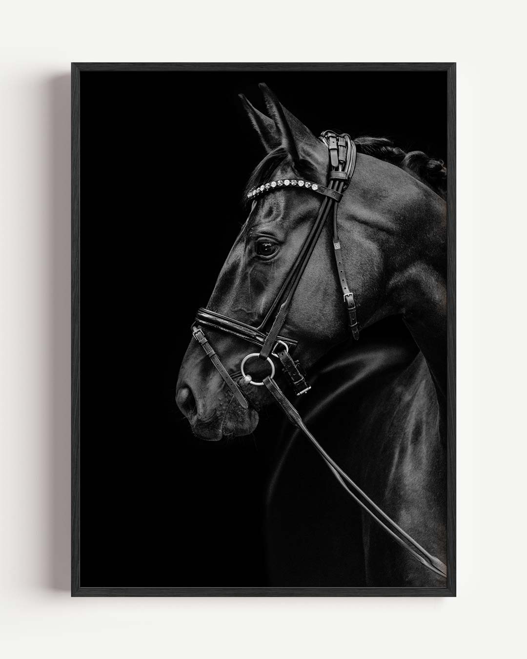 Zwart Paard Poster-WallArtistic