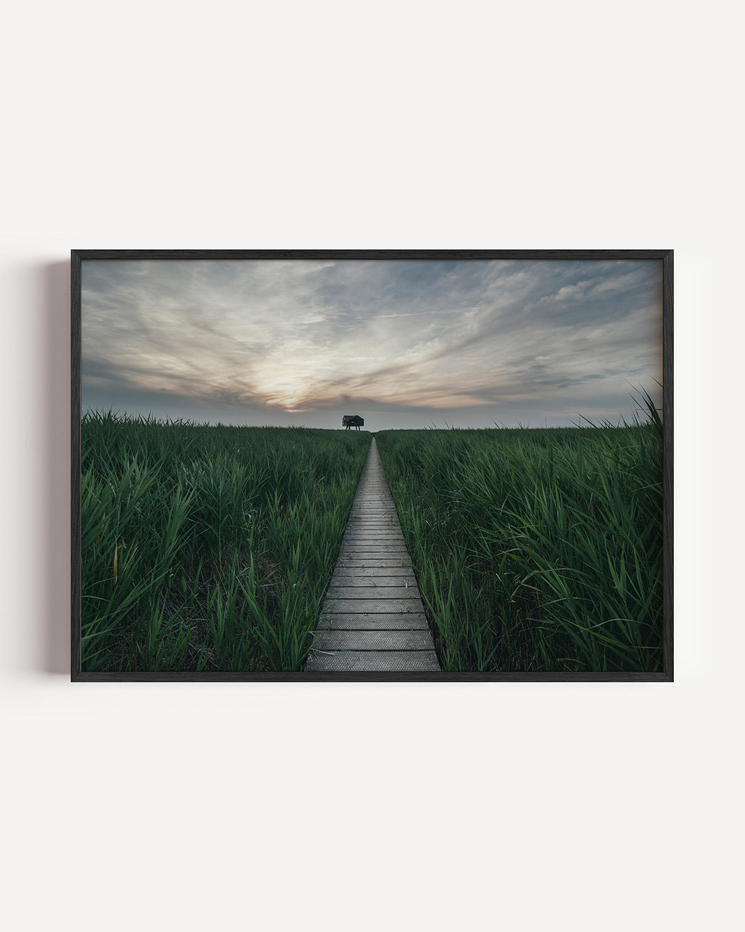 Rustige landschapspad Poster