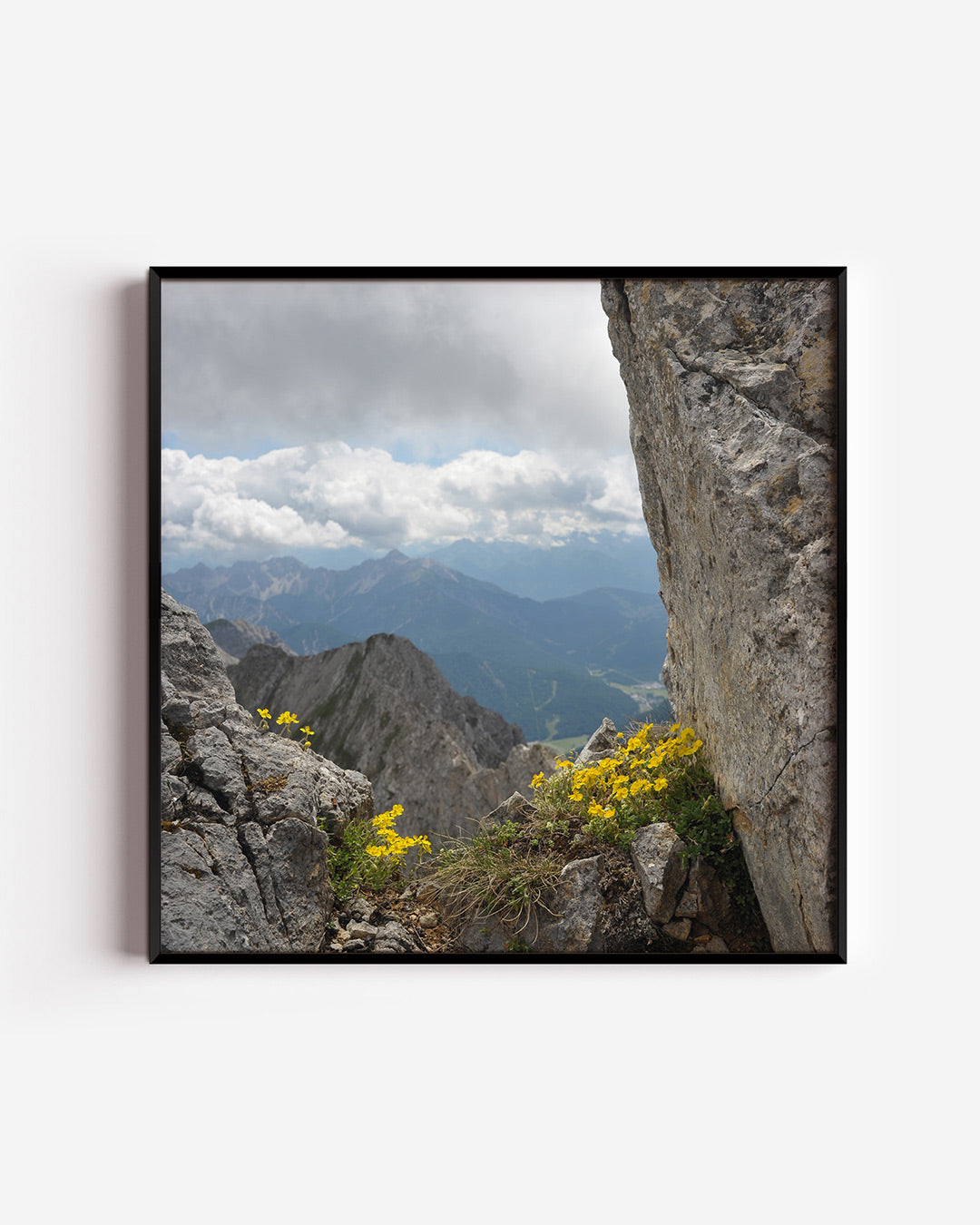Berglandschap met bloemen Poster