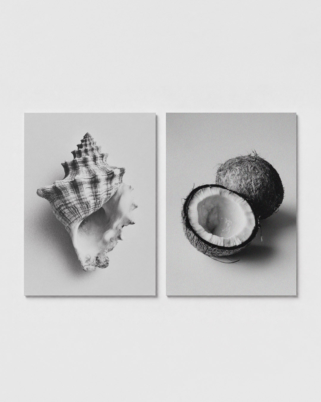 Schelpenstructuur Posterset