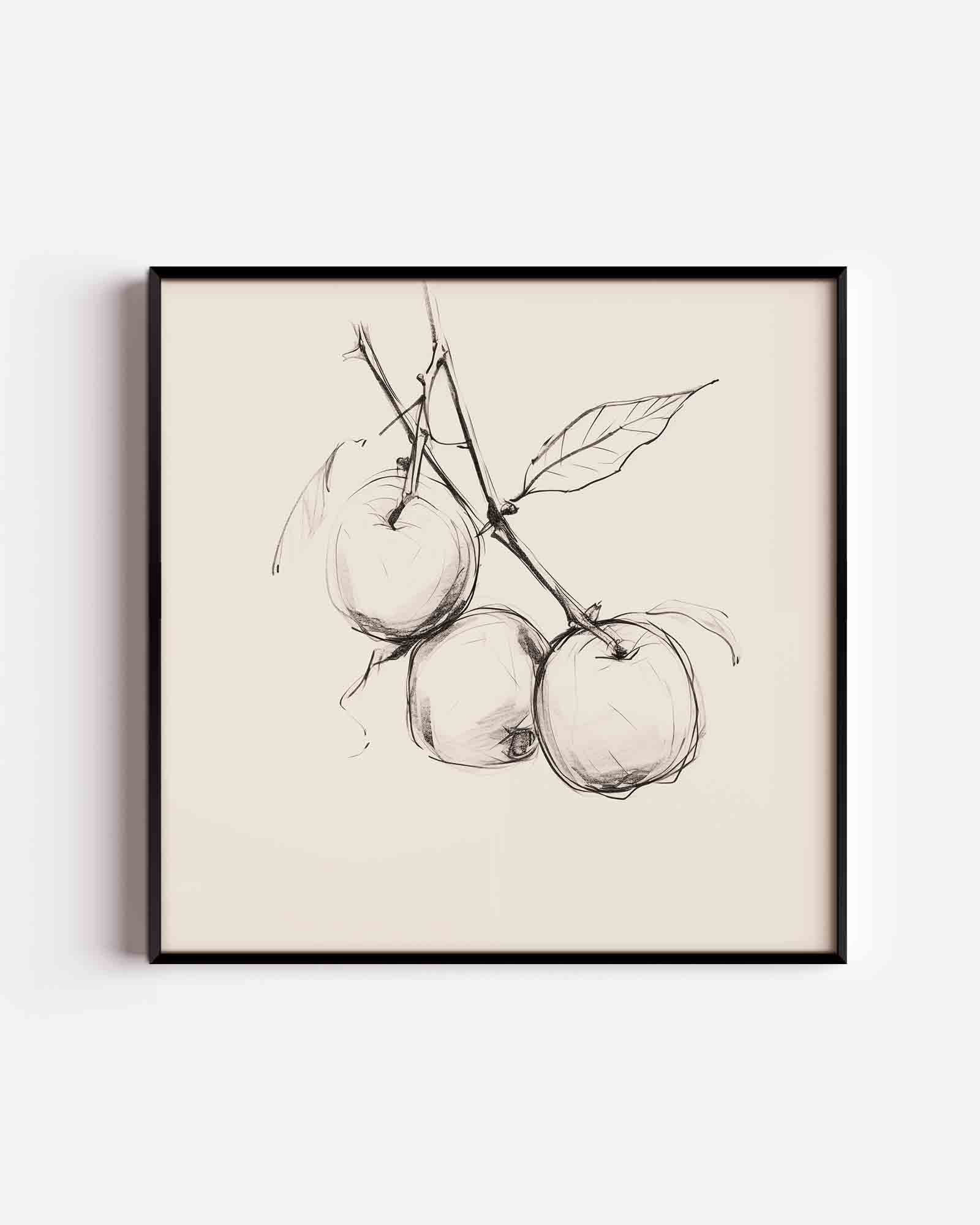 Appel schets Poster