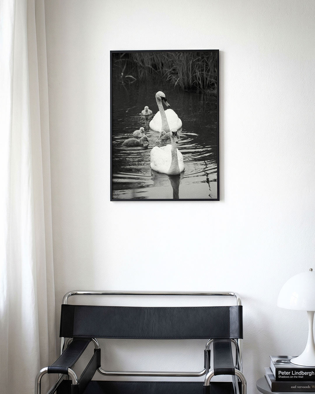 Zwanenfamilie in water Poster