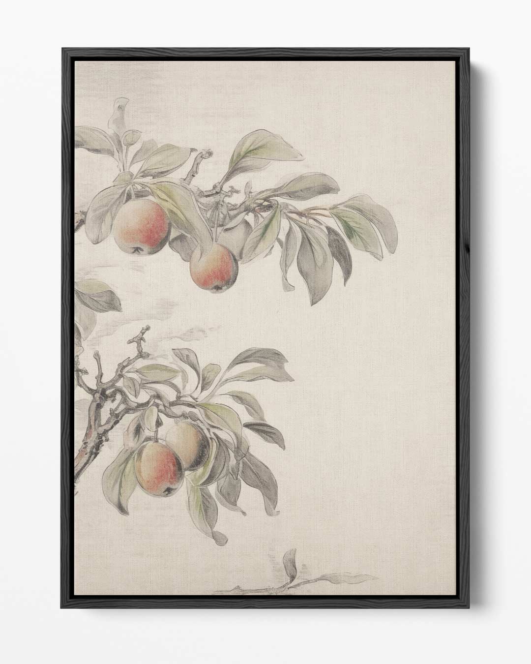 Tak met Appels Kunstwerk-canvas-dibond-plexiglas-wanddecoratie-WallArtistic