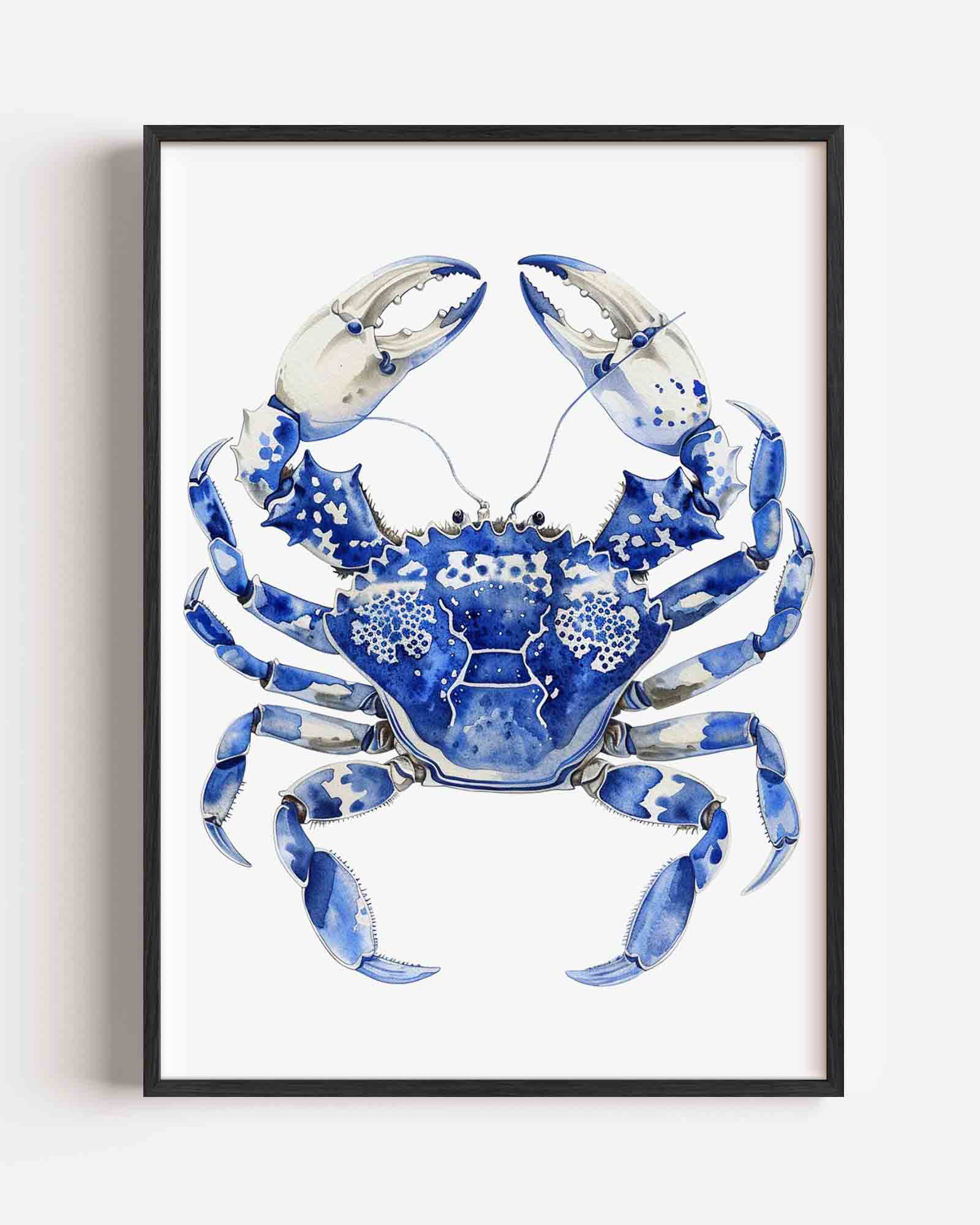 Blauwe krab Poster