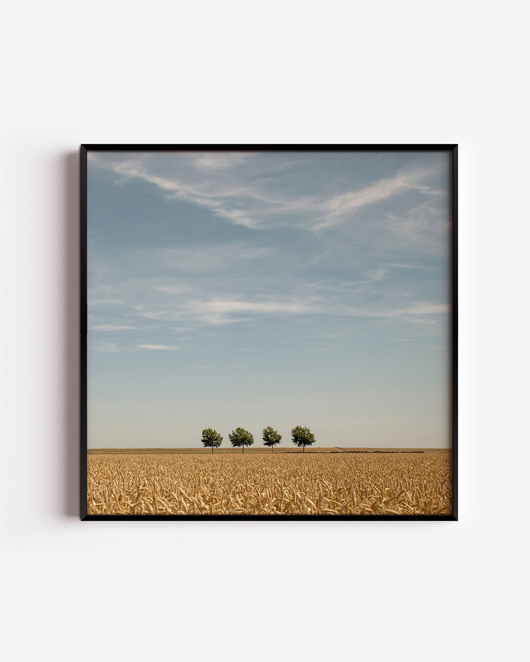 Rustige landschap Poster