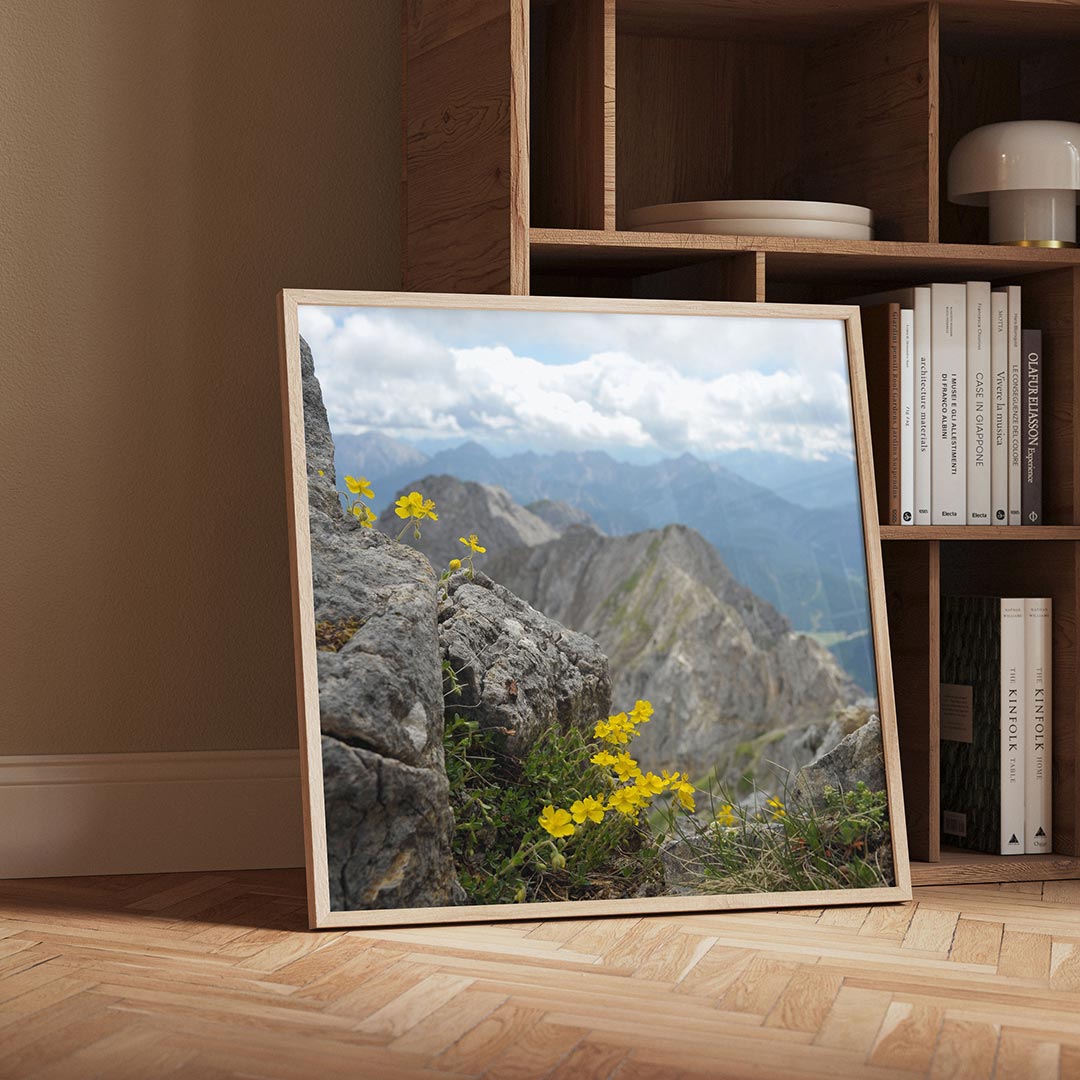 Berglandschap met bloemen Poster