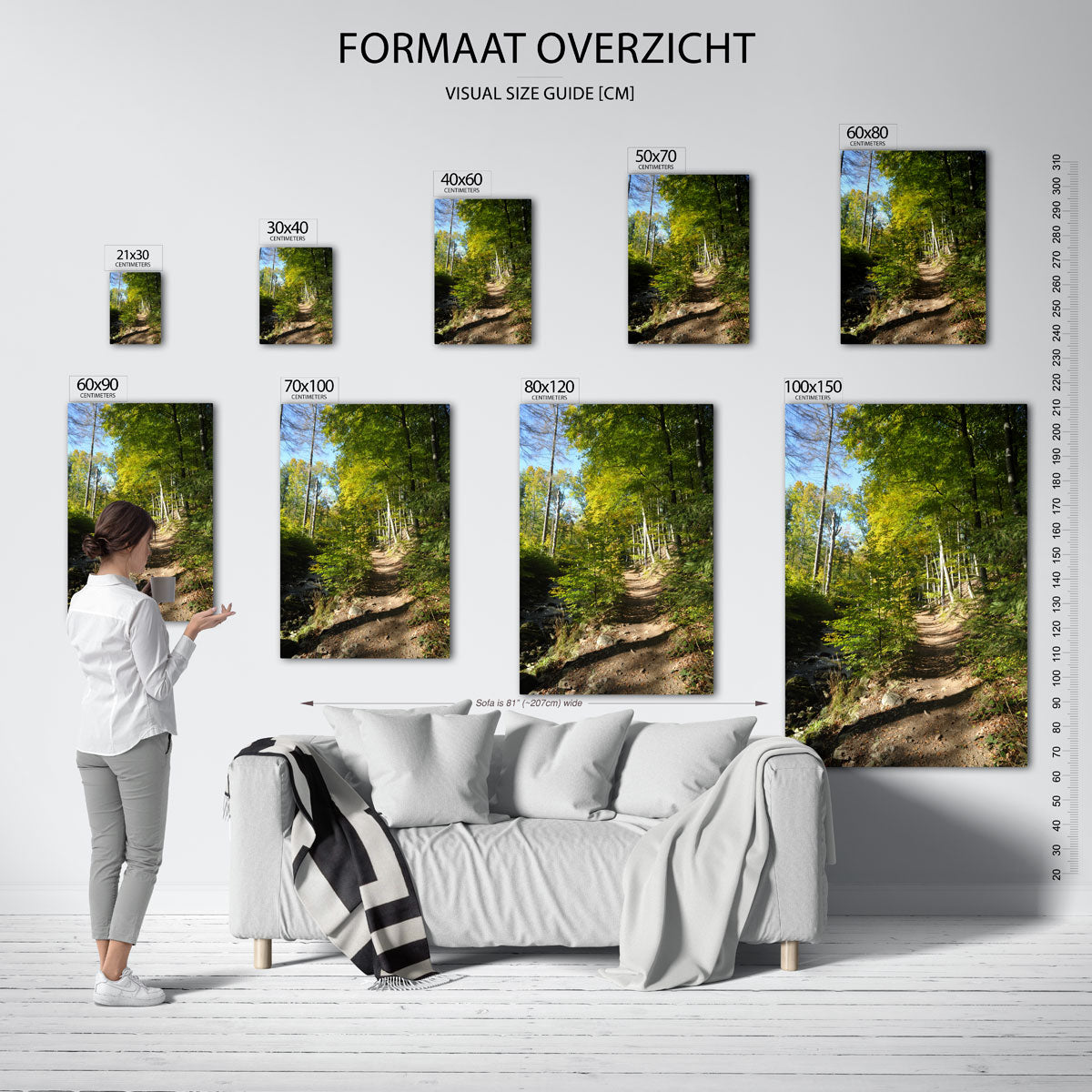 Boswandeling zonnig pad Poster