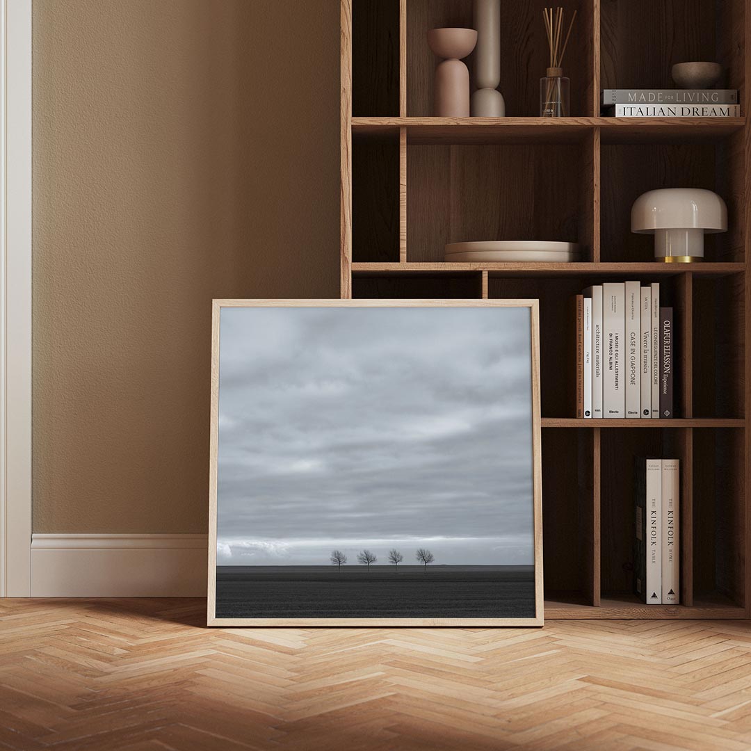 Rustige landschap Poster