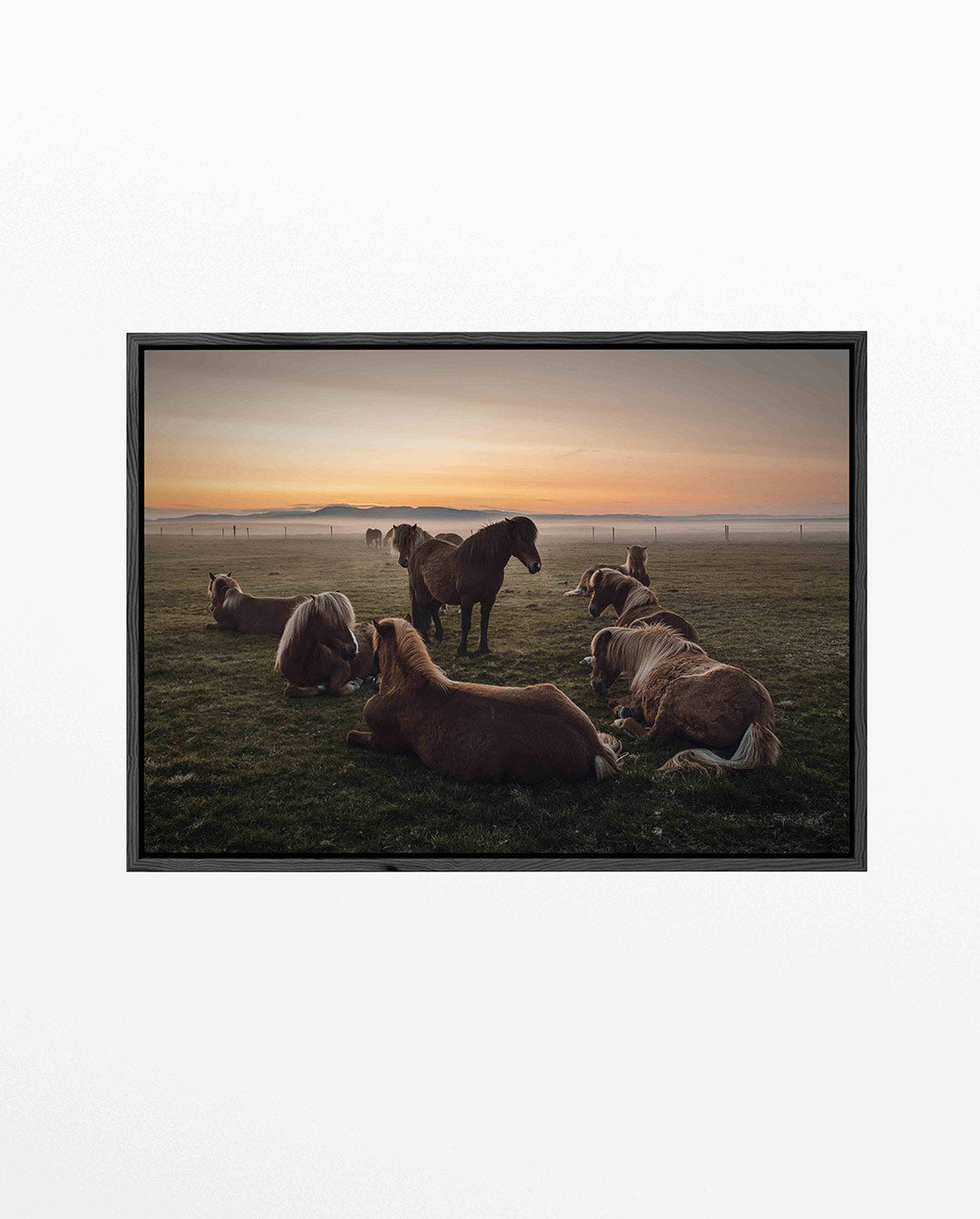 Rustige paardenweide Kunstwerk