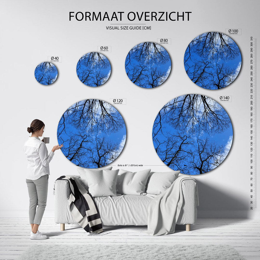 Blauwe lucht met takken Muurcirkel