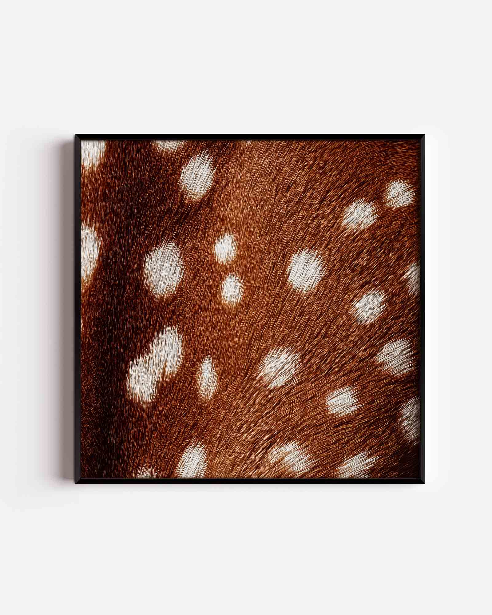Bruine vacht met witte stippen Poster