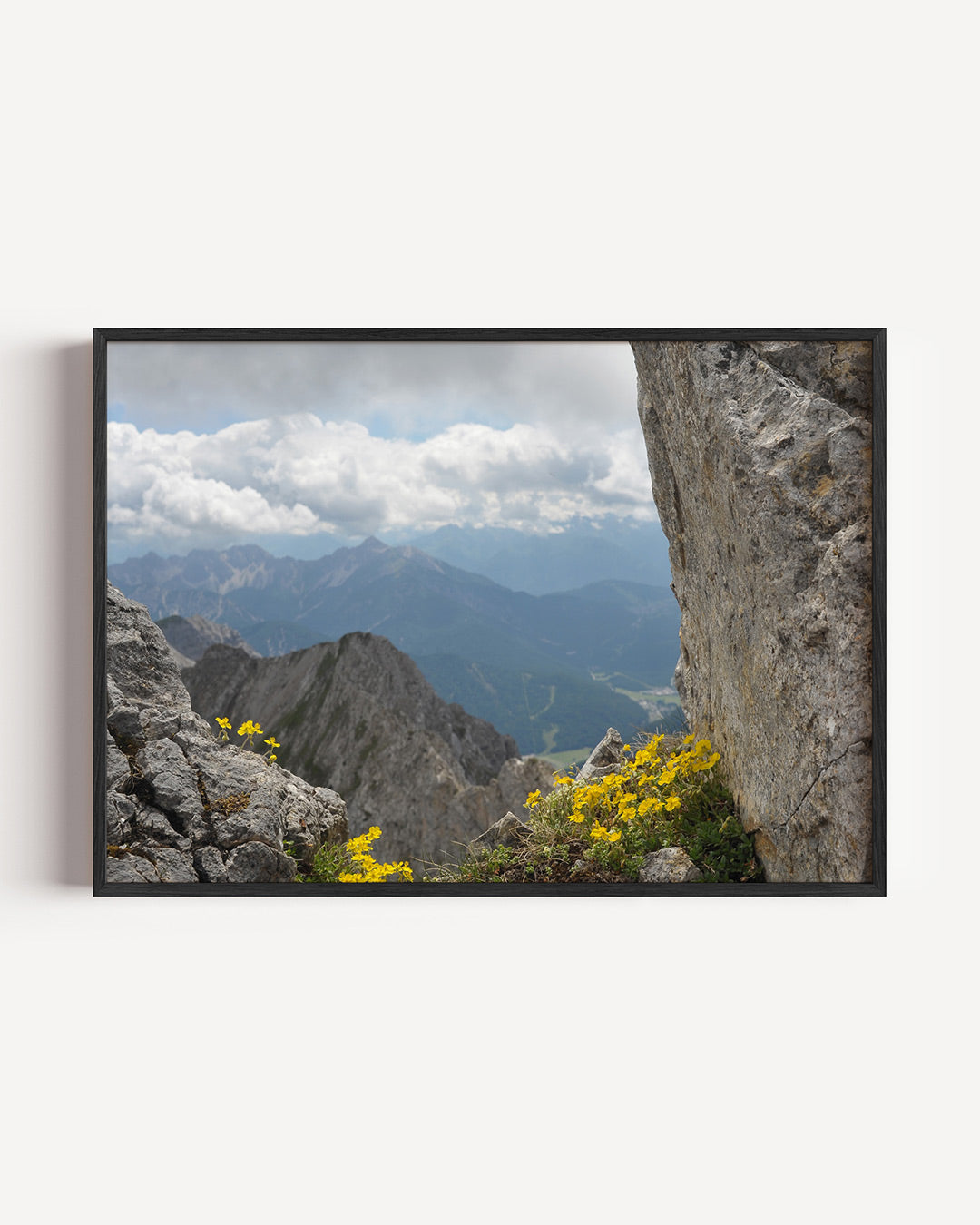 Berglandschap met bloemen Poster