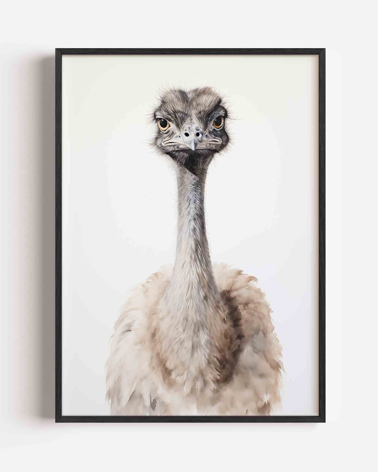 Struisvogel portret Poster