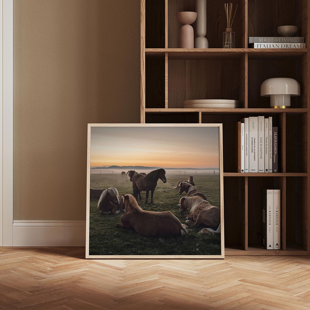 Rustige paardenweide Poster