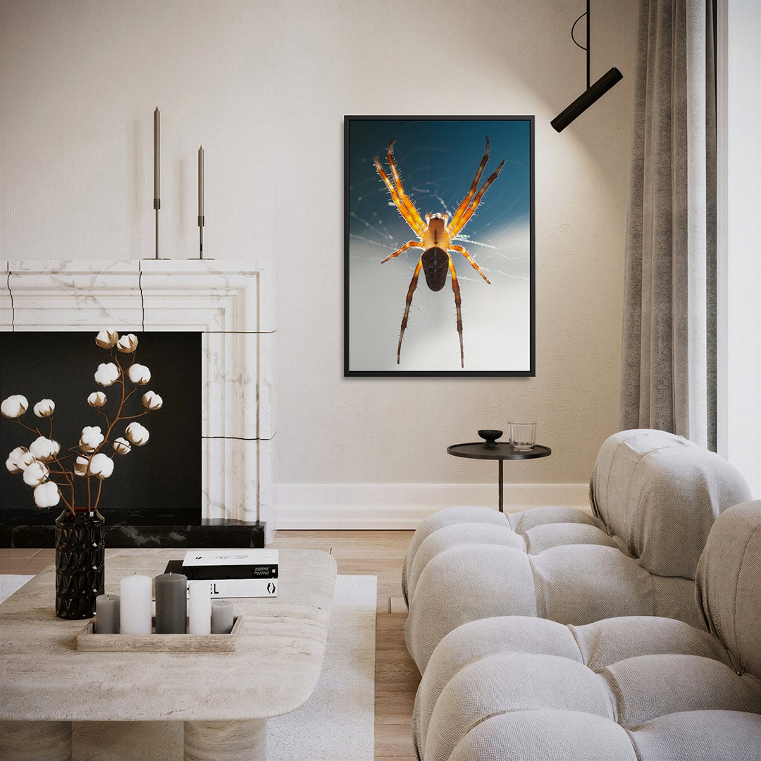 Spin in web Kunstwerk