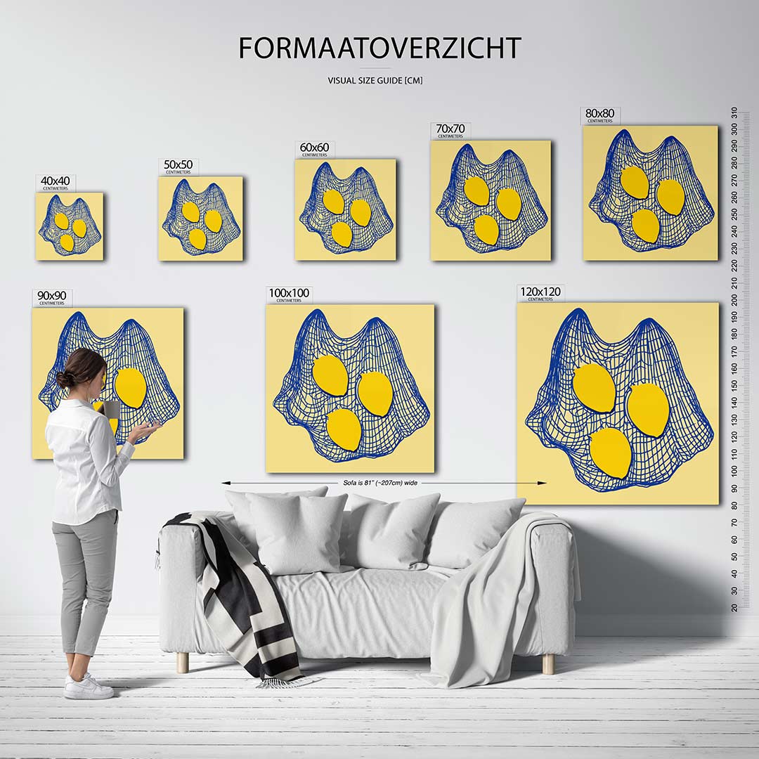 Citroenen in net Kunstwerk