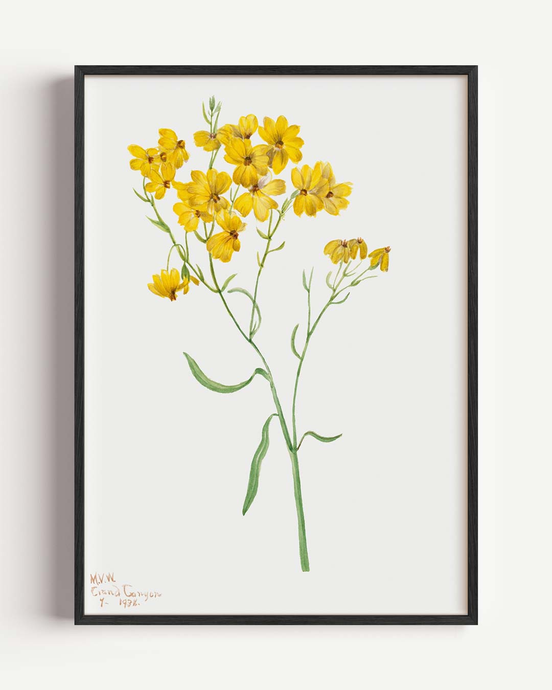 Zonnige Bloemen Illustratie Poster-WallArtistic