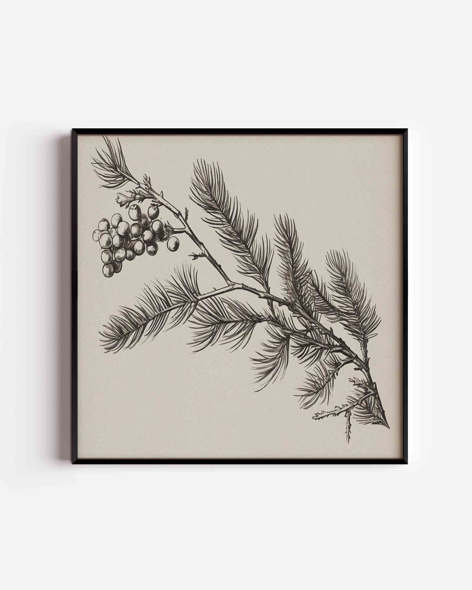 Abstracte Poster