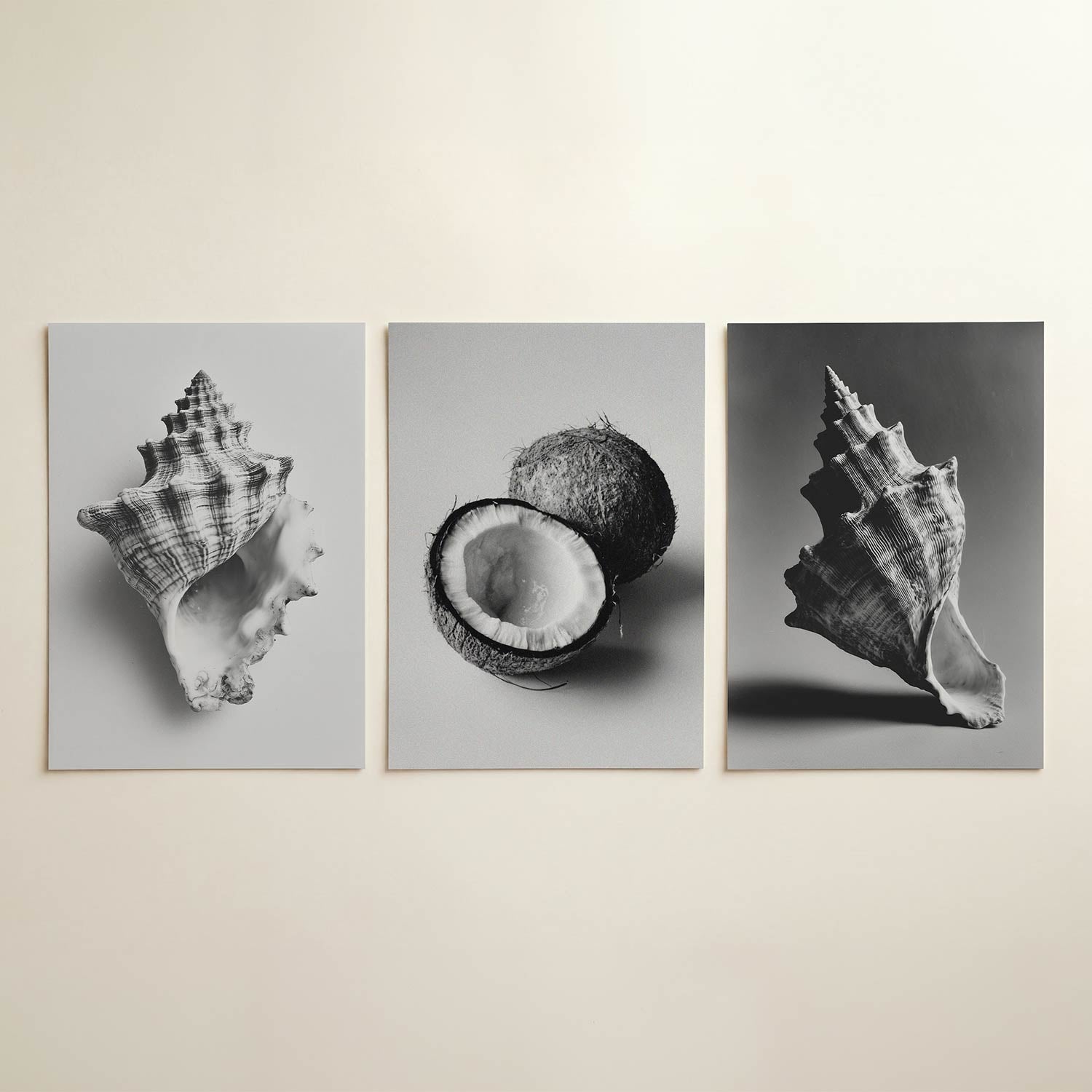 Schelpenstructuur Posterset