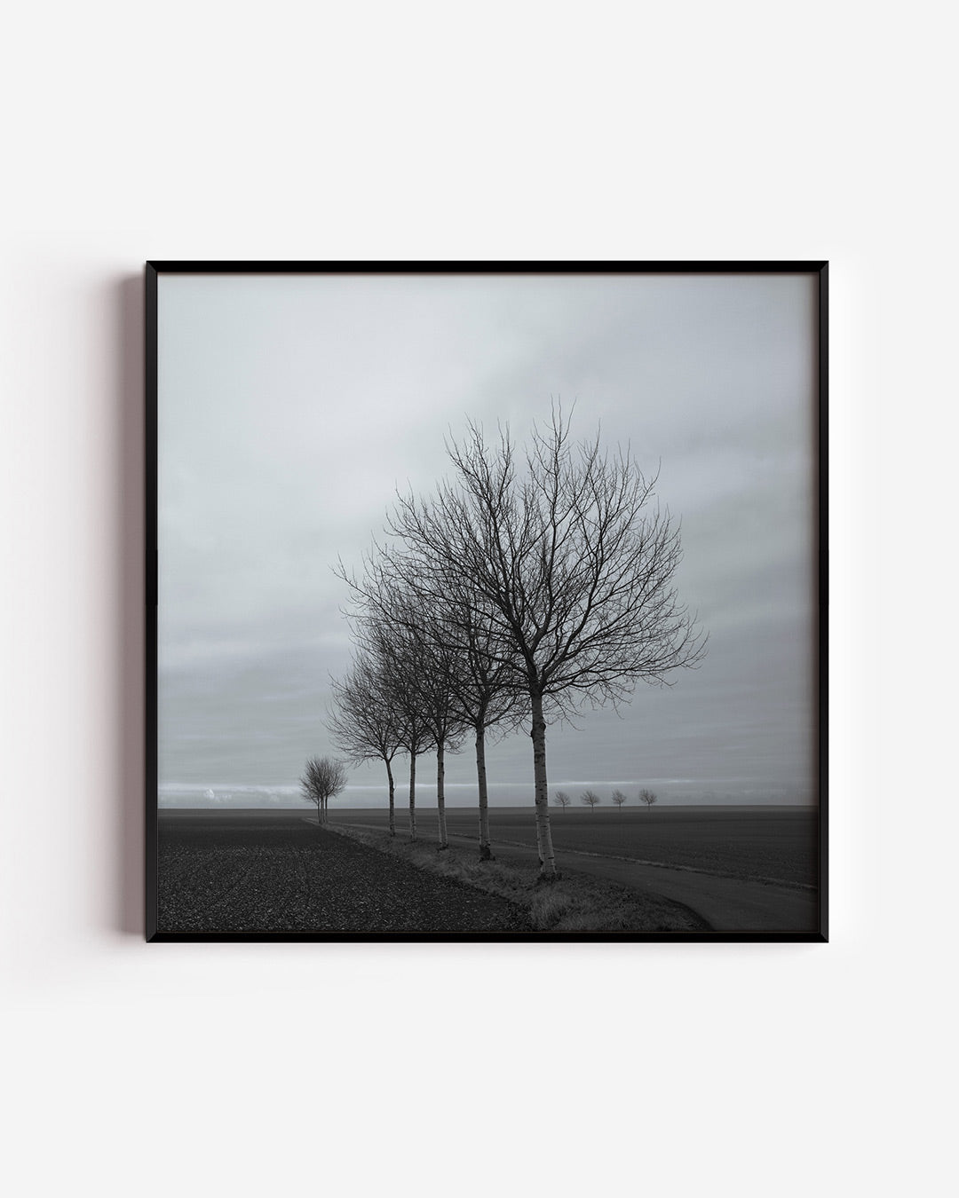 Landschap met bomen Poster