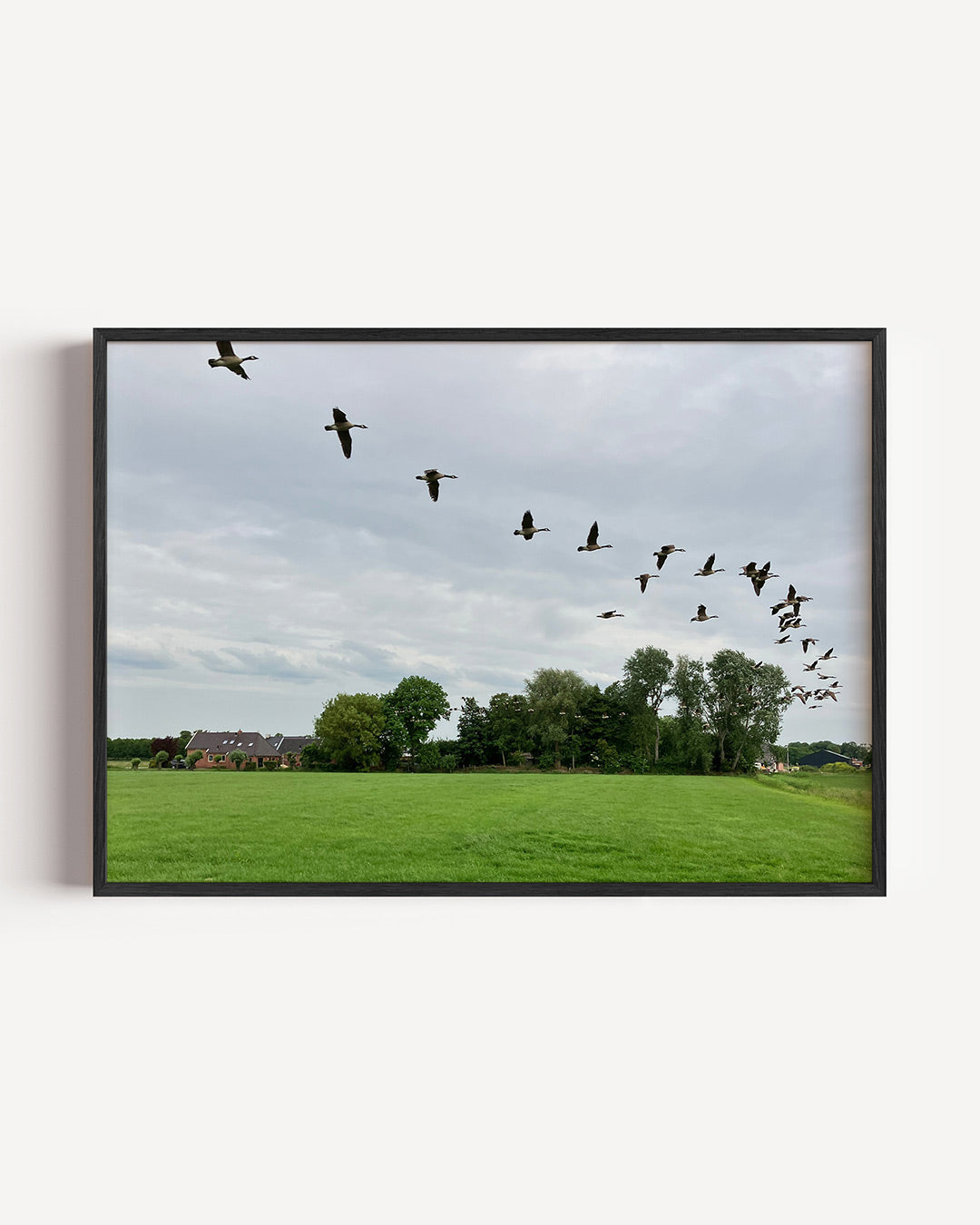 Vliegende vogels Poster