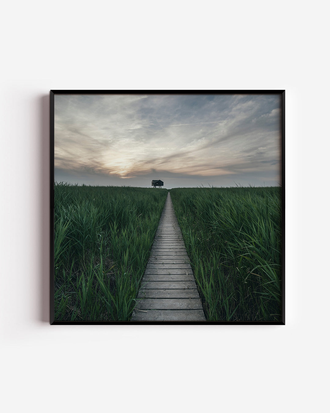 Rustige wandelpad Poster