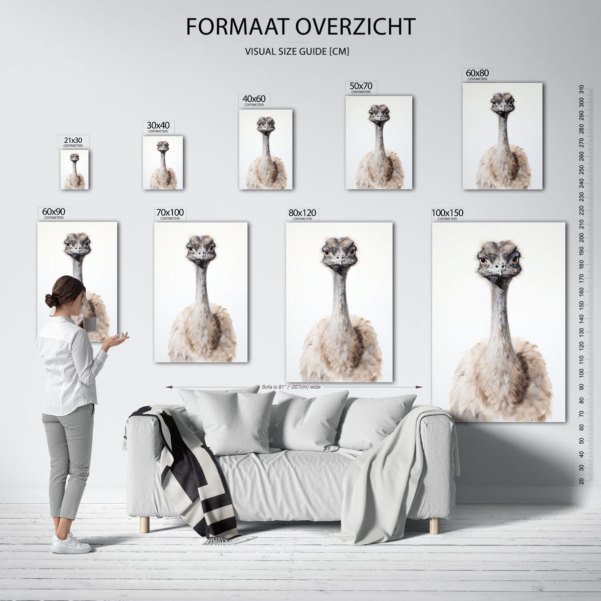 Struisvogel portret Poster