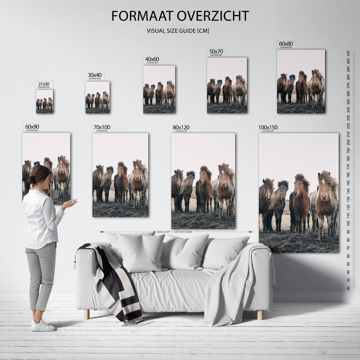 Groep paarden Poster