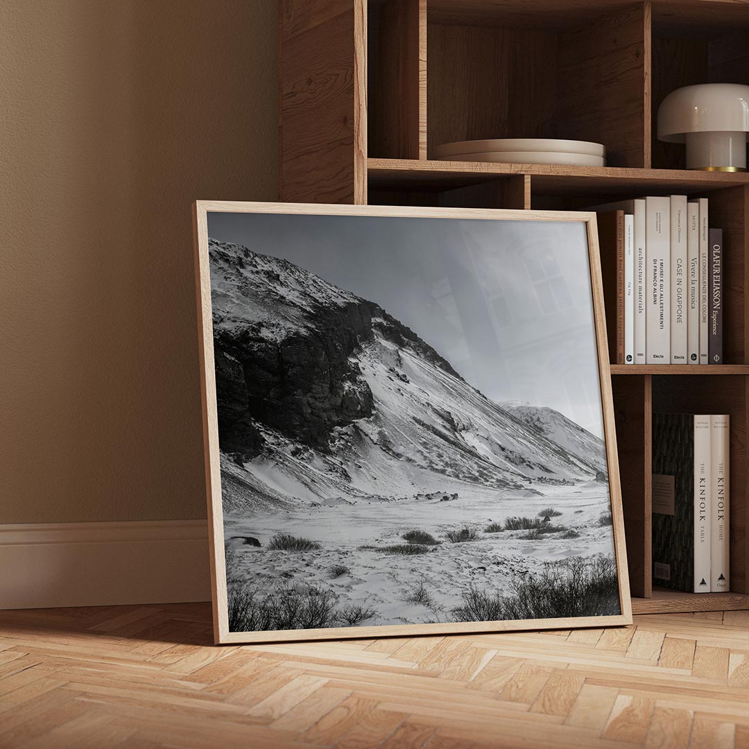 Besneeuwde bergen Poster