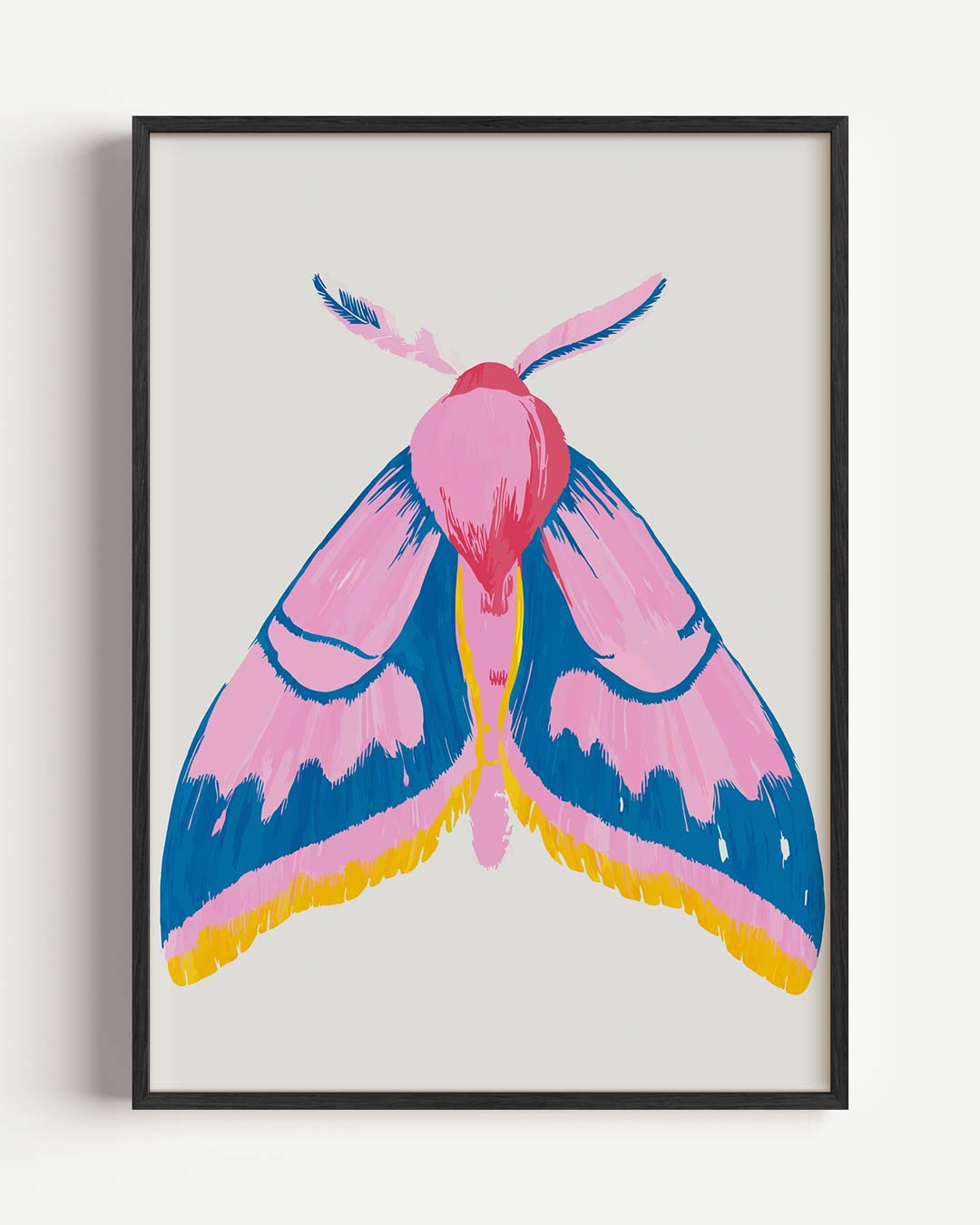 Kleurrijke Vlinderposter-WallArtistic