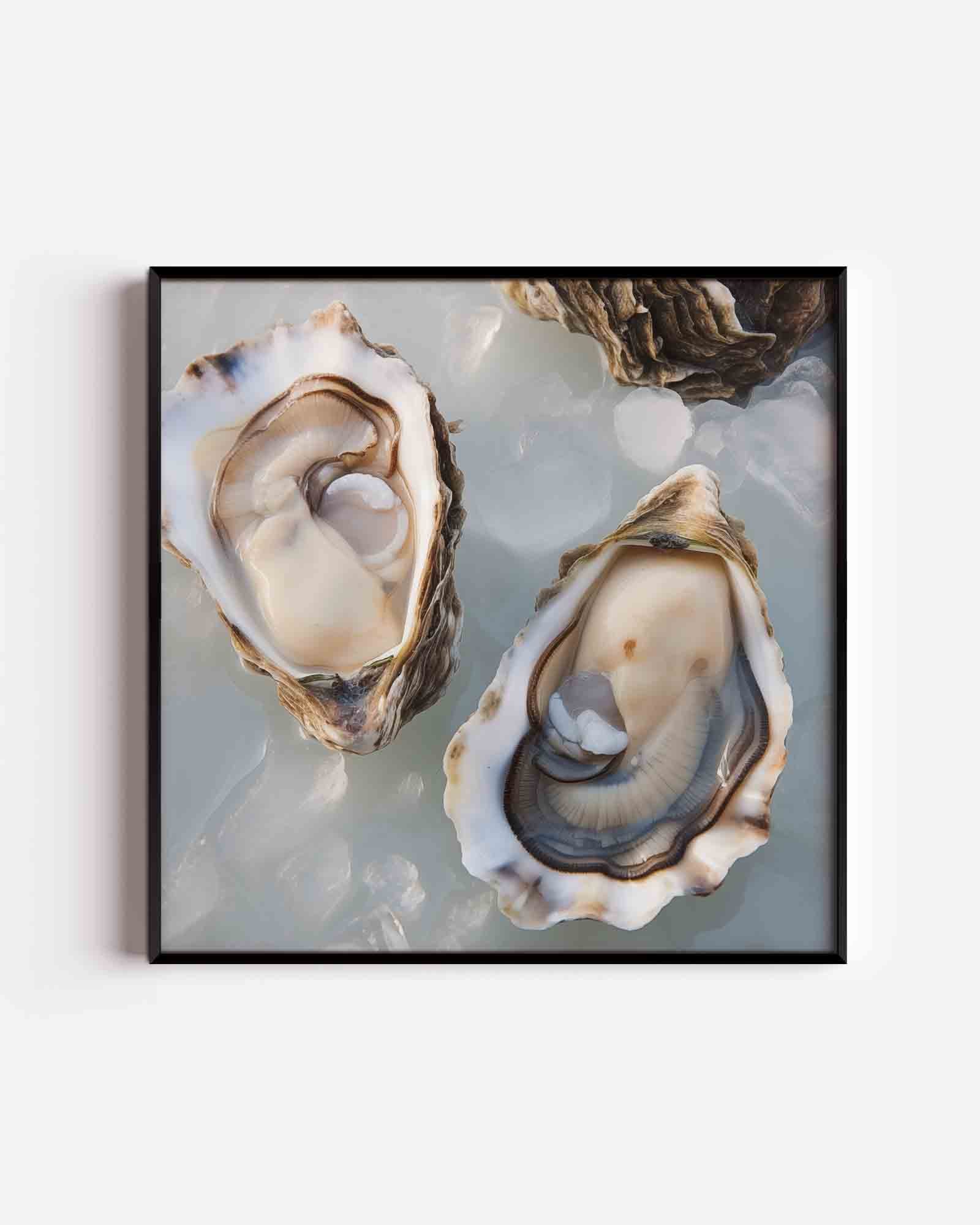 Open oesters op ijs Poster