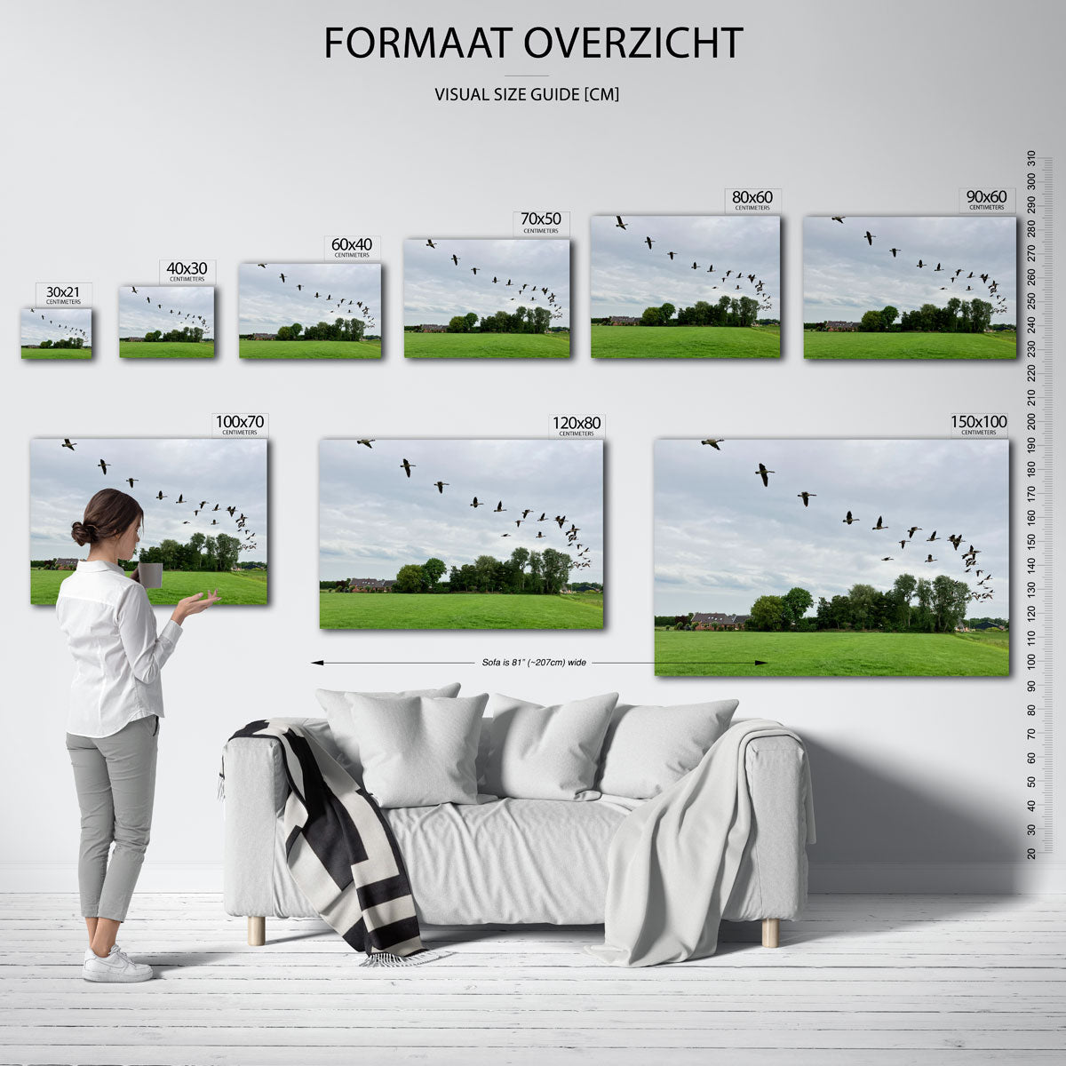 Vliegende vogels Poster