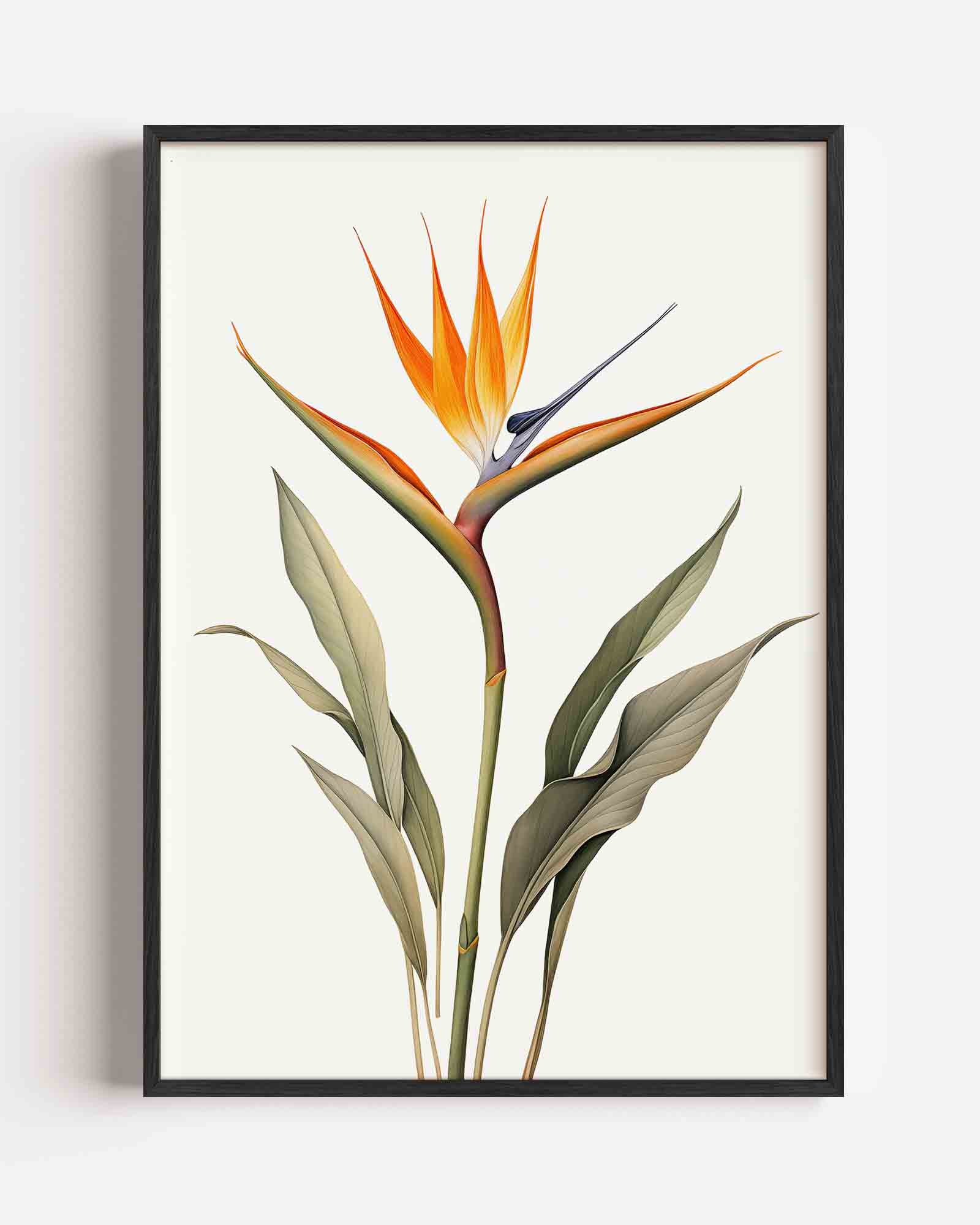 Vogel van paradijs Poster