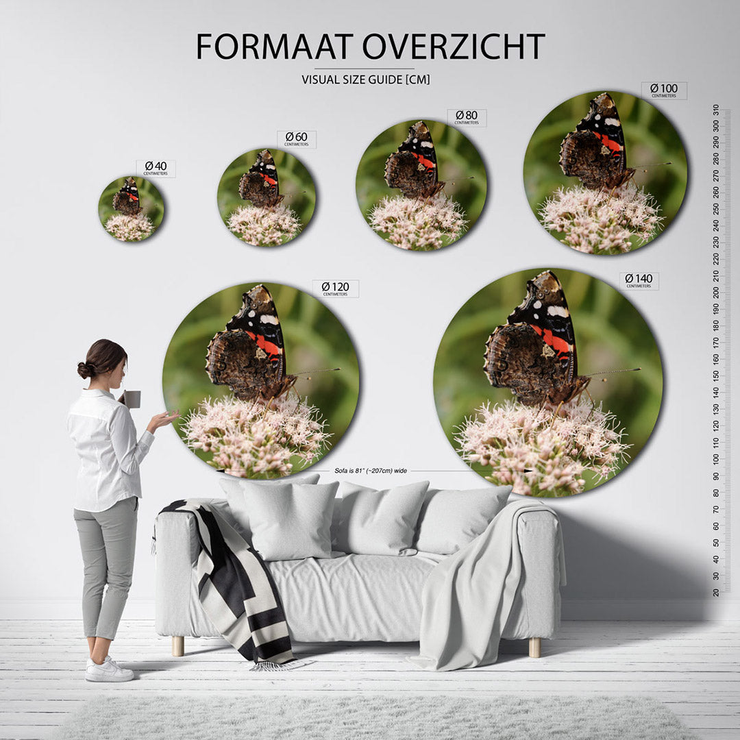 Vlinder op bloem Muurcirkel