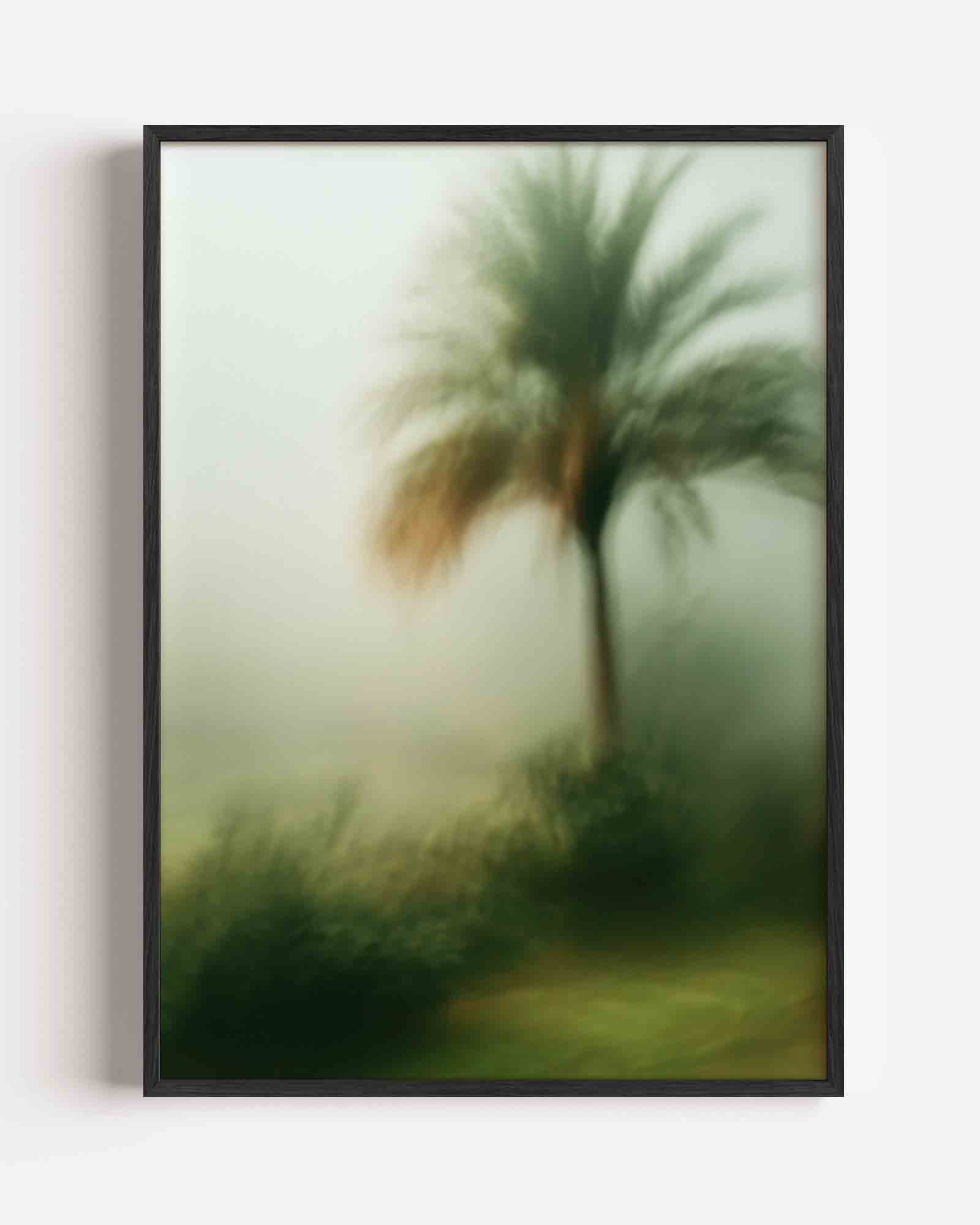 Vervagende palmboom Poster