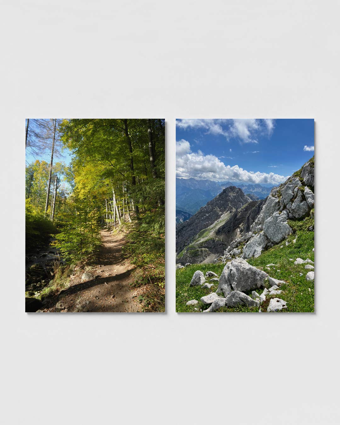 Boswandeling lichtspel Posterset