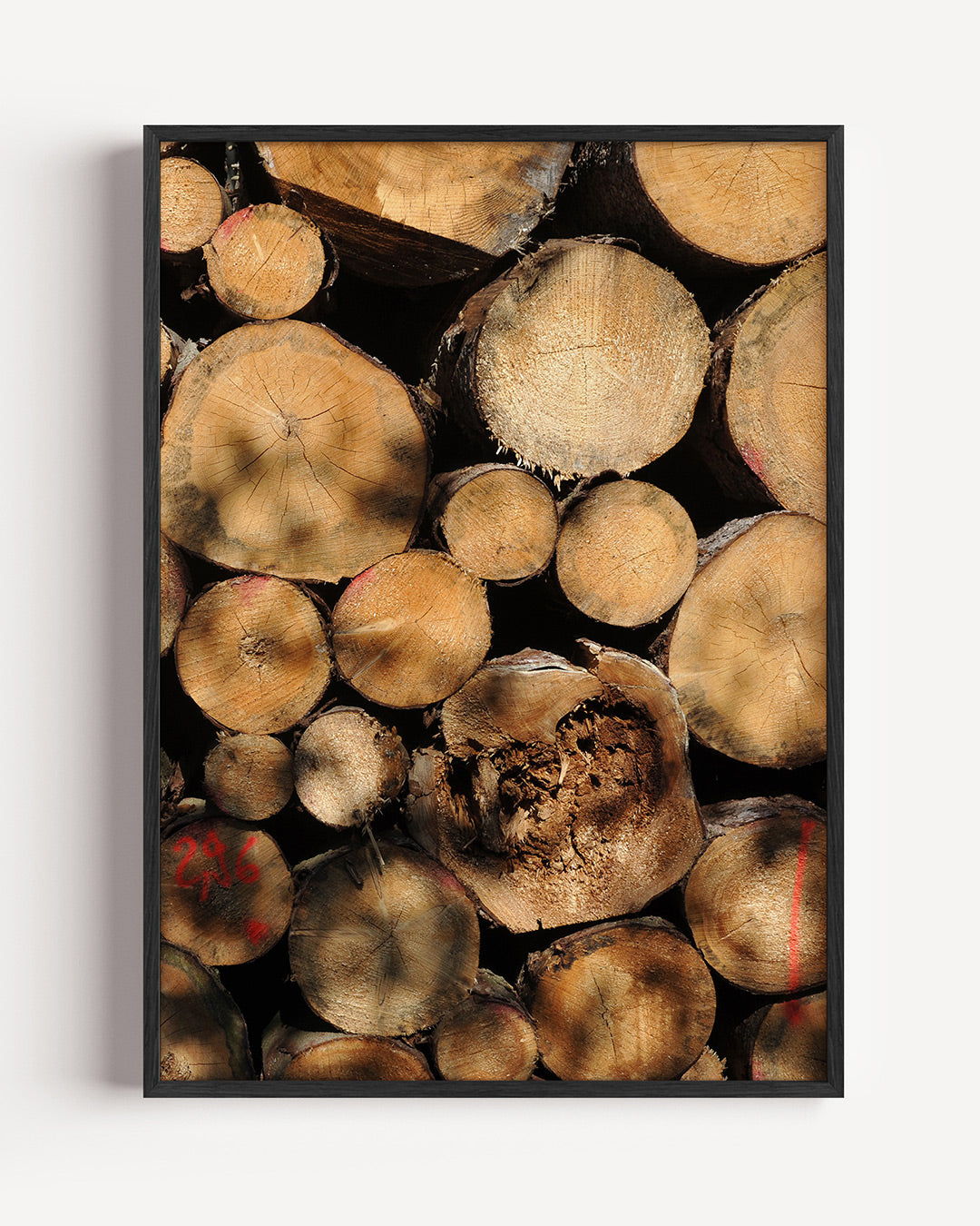 Houtstapel textuur Poster