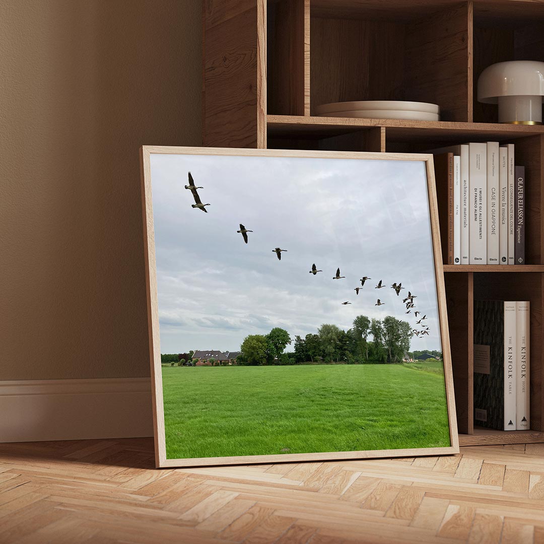 Vliegende vogels Poster