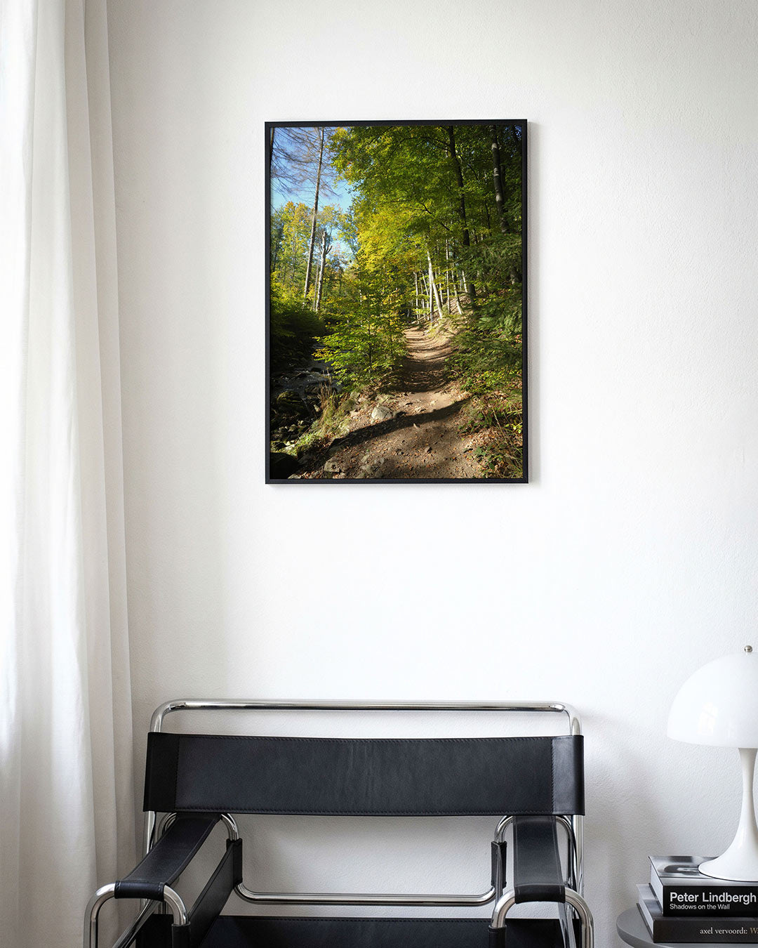 Boswandeling zonnig pad Poster