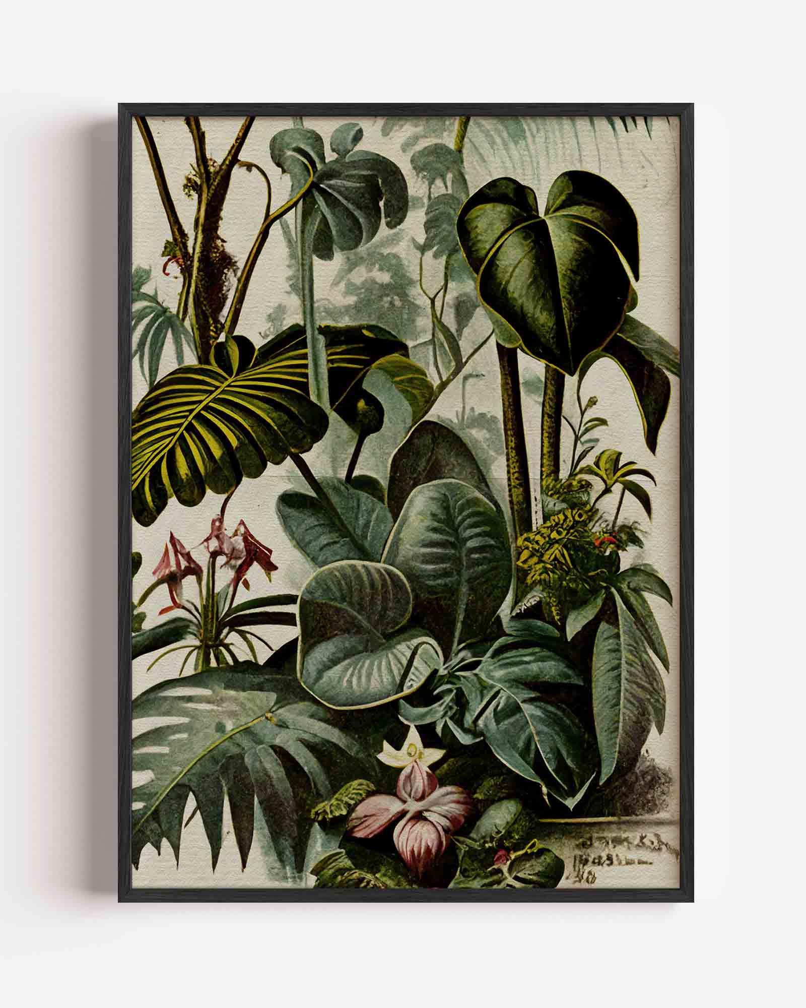 Tropische planten Poster