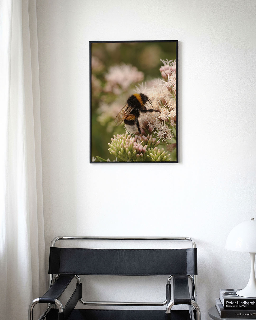 Bij op bloem Poster