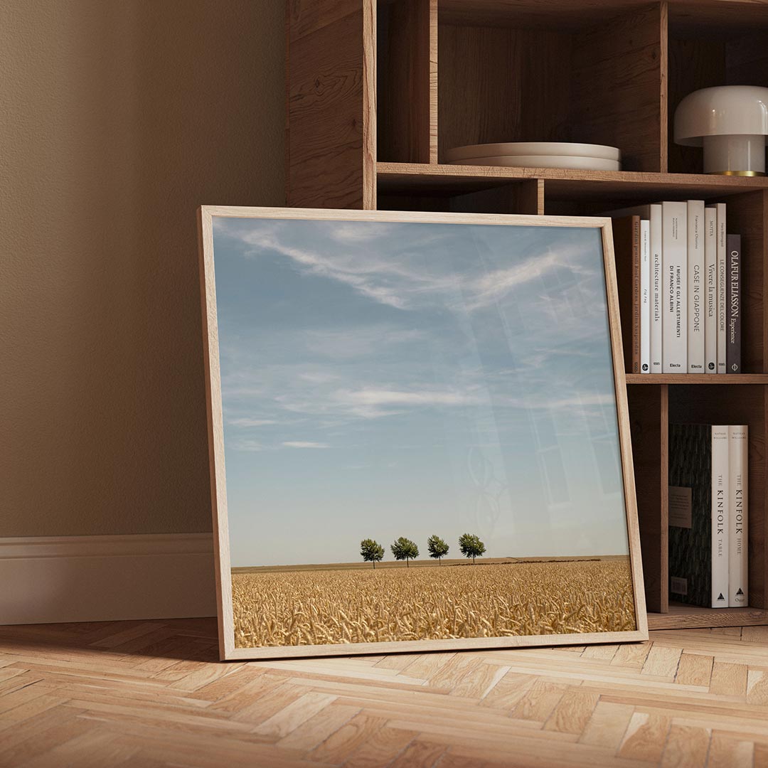 Rustige landschap Poster