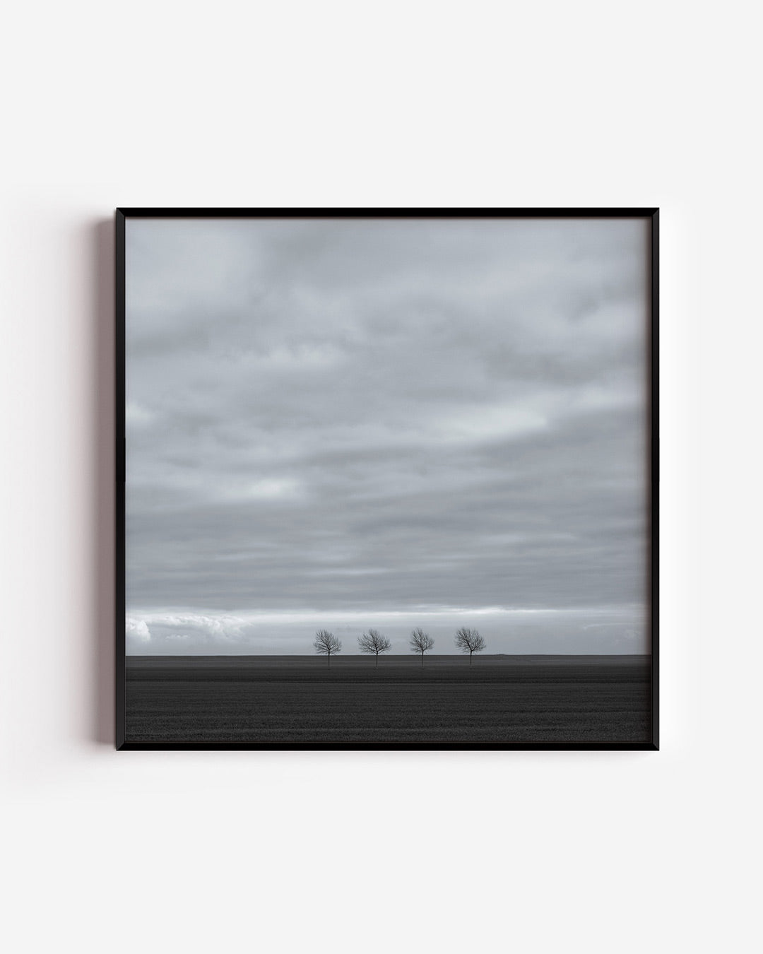 Rustige landschap Poster