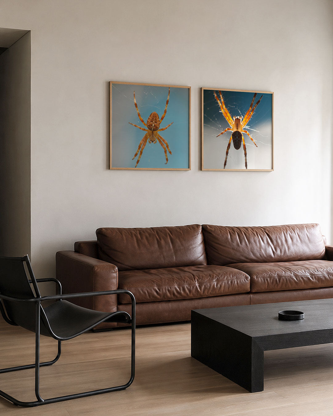 Interieur met vierkant fotografisch tweeluik spinnen in tegenlicht – Gerald Emming
