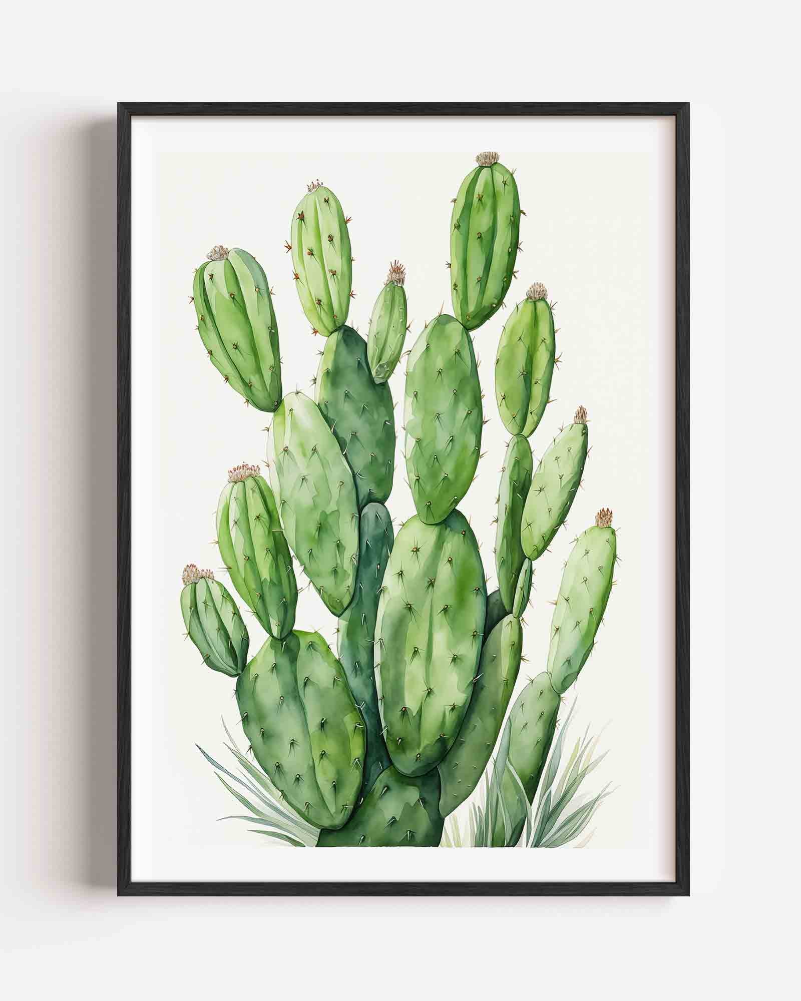 Groene cactus Poster