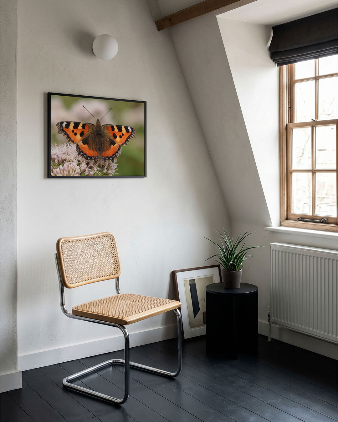 Vlinder op bloem Poster