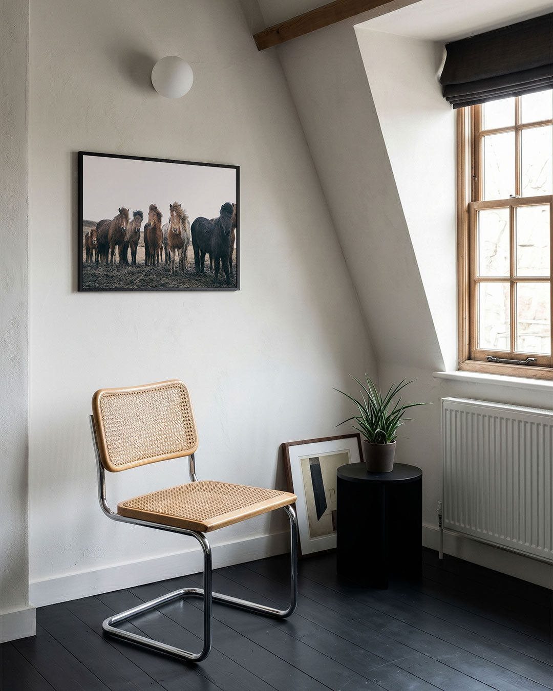 Groep paarden Poster