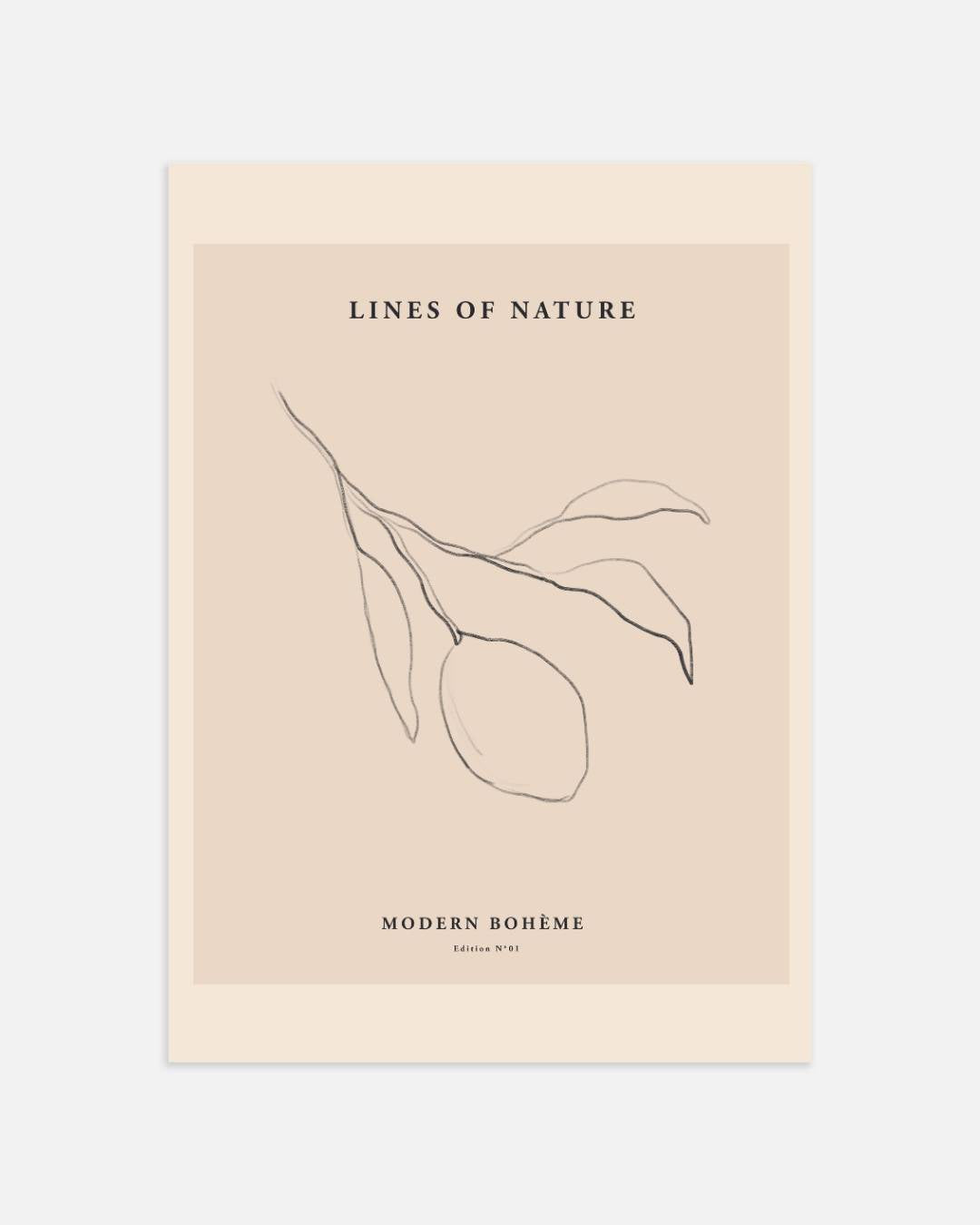 Lines of nature Poster