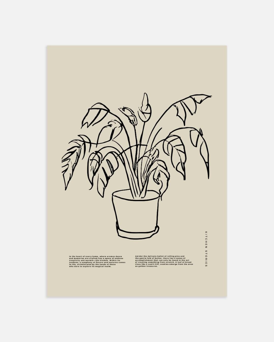 Kamerplant lijntekening Poster